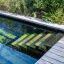 Plantarbor
