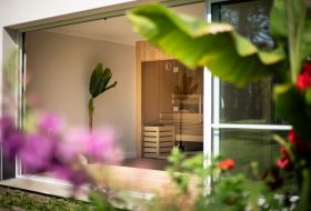 Alpha Wellness Sensations