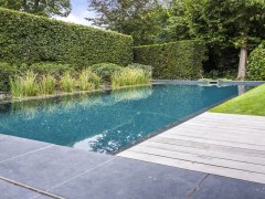 Geonet BVBA Zwemvijver in kleine stadstuin